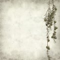 Textured old paper background Royalty Free Stock Photo
