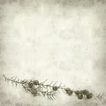 Textured old paper background Royalty Free Stock Photo
