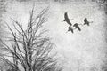 Textured Old Paper Background With The Dry Tree Branches And Birds Flying. Art Nature