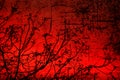 Textured old paper background with spring tree young branches against red sunset sky. Things differing strikingly Royalty Free Stock Photo