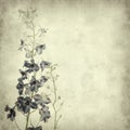 Textured old paper background w