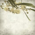 Textured old paper background Royalty Free Stock Photo