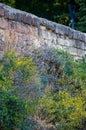 Textured Old Stone Wall Covered by Dense Green and Dry Shrubbery Royalty Free Stock Photo