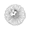 Textured outline daisy flower with ladybug. Nature vector illustration Royalty Free Stock Photo