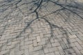 A textured pavement made of interlocking bricks with tree shadows cast Royalty Free Stock Photo
