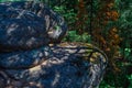 Textured rough orange stone rock covered with moss in light of sun with blue shadows from trees. Green red forest. Royalty Free Stock Photo