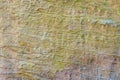 Textured sandstone surface with natural patterns and layers Royalty Free Stock Photo