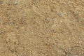 Textured sandy soil surface as background Royalty Free Stock Photo