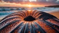 Giant Pumpkin on the Beach at Sunset: A Close-Up View Royalty Free Stock Photo