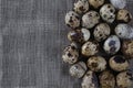 Textured spring background with small quail eggs. Royalty Free Stock Photo
