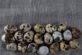 Textured spring background with small quail eggs. Royalty Free Stock Photo