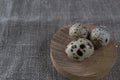 Textured spring background with small quail eggs. Royalty Free Stock Photo