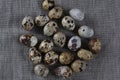 Textured spring background with small quail eggs. Royalty Free Stock Photo