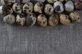 Textured spring background with small quail eggs. Royalty Free Stock Photo