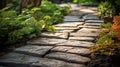 Textured Stone Path Background