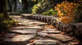 Textured Stone Path Background