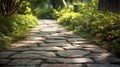 Textured Stone Path Background