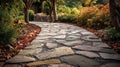 Textured Stone Path Background