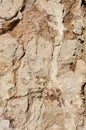 Textured stone, sandstone, limestone surface. Close image. Stone, natural abstract texture for backgrounds. Close up. Wallpaper,