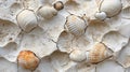 Textured stone wall with embedded shells and organic patterns. Royalty Free Stock Photo