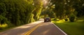 Textured surface, background green country landscape in sunny day in motion blur, sports car driving on desert highway