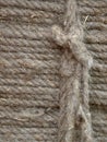 Coarse rope made from stems of natural hemp