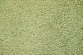 Textured surface coat plaster walls green color