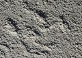 A textured surface composed of loose, granular grey sand or small Royalty Free Stock Photo
