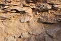 Textured surface of desert rocks and stones Royalty Free Stock Photo