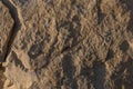 Textured surface of desert rocks and stones Royalty Free Stock Photo