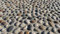 The pebbles vary in color including shades of gray brown and light beige Royalty Free Stock Photo