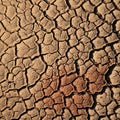 With a textured surface pattern. The soil is light brown and Royalty Free Stock Photo