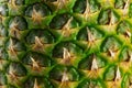 Textured surface of pineapple in full length as a background. Pineapple skin close up. Royalty Free Stock Photo
