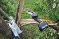 portable chainsaw and personal protective equipment are on tree branch when working Royalty Free Stock Photo