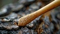 The textured surface of a wooden drumstick rubs against a piece of tree bark producing a deep resonant sound