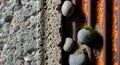 Textured surfaces form a juxtaposition. The left side shows a polished stone conglomerate with Royalty Free Stock Photo