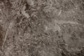 Textured textured gray uneven wall as a background with veins Royalty Free Stock Photo