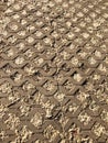 Textured walkside recesses full of poplar fluff Royalty Free Stock Photo