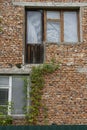 Textured wall with red bricks on the facade of an abandoned house with climbing ivy along the wall Royalty Free Stock Photo