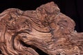 Walnut wooden background in close up