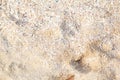 Textured wet sand beach background