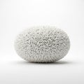 A Textured White Spherical Object with Numerous Small Protrusions on a White Background Royalty Free Stock Photo