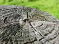 Textured wooden post close-up