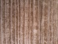 Textured Woodgrain backdrop