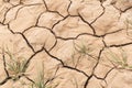 Textures in the arid soil of M'Hamid El Ghizlane