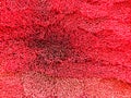 Textures of incense sticks red color at put is overlapping, Select focus, blurry Royalty Free Stock Photo