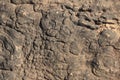 textures showing the formation of stone from ancient cooled lava flow on rock faces in a volcanic area rural Victoria Royalty Free Stock Photo