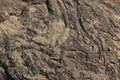 textures showing the formation of stone from ancient cooled lava flow on rock faces in a volcanic area rural Victoria Royalty Free Stock Photo