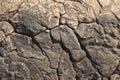 textures showing the formation of stone from ancient cooled lava flow on rock faces in a volcanic area rural Victoria Royalty Free Stock Photo