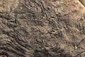 textures showing the formation of stone from ancient cooled lava flow on rock faces in a volcanic area rural Victoria Royalty Free Stock Photo